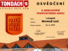 Tondach